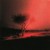 Buy Joji - Piss In The Wind Mp3 Download