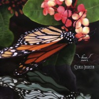 Purchase Ikue Mori - Class Insecta