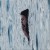 Buy The Kid Laroi - Before I Forget Mp3 Download