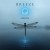 Buy Breeze - Circles Mp3 Download