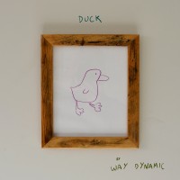 Purchase Way Dynamic - Duck