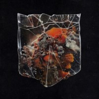 Purchase Shields - Death & Connection