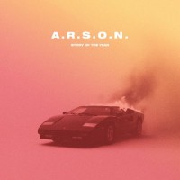 Purchase Story Of The Year - A.R.S.O.N.
