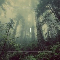 Purchase Phlocalyst - Life