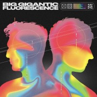 Purchase Big Gigantic - Fluorescence