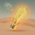 Buy Peter Frampton - Carry The Light Mp3 Download