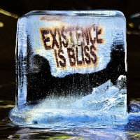 Purchase Deadletter - Existence Is Bliss