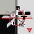 Buy Foetus - Halt Mp3 Download