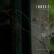 Buy Innesti - Contemplate Mp3 Download