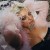 Buy Bebe Rexha - Dirty Blonde Mp3 Download