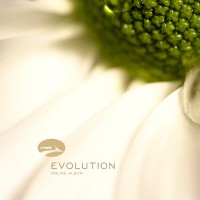 Purchase RMB - Evolution