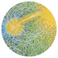 Purchase Max Cooper - Feeling Is Structure