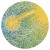 Buy Max Cooper - Feeling Is Structure Mp3 Download