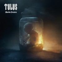 Purchase Tulus - Morbid Desires