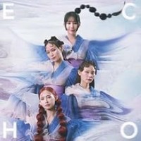 Purchase Scandal - Echo