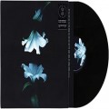 Buy Wasia Project - Nocturne Mp3 Download
