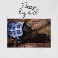 Buy Florry - Big Fall Mp3 Download