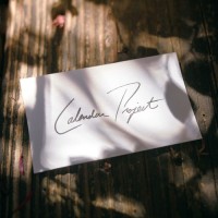 Purchase Feverkin - Calendar Project
