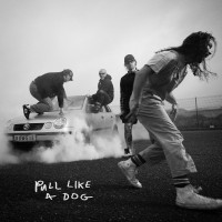 Purchase The Scratch - Pull Like A DOG