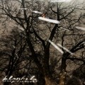 Buy Shep Treasure - Blanket Mp3 Download