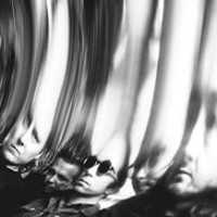 Purchase Ty Segall - Chrome