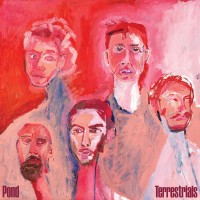 Purchase Pond - Terrestrials