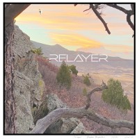 Purchase Relayer - Broken Branches