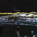 Buy Gilla Band - Pugnello Mp3 Download