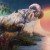 Buy Protest the Hero - Within Mp3 Download