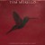 Buy Tom Morello - Everyone Gets Everything They Want Mp3 Download