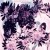 Buy Pink Playground - Destination Ecstasy Mp3 Download