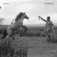 Purchase Toby Hay - The Gathering