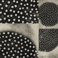 Purchase K. Leimer - Muted Forms