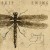 Buy Skip Ewing - DRAGONFLY Mp3 Download