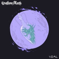 Purchase Sallow Moth - Vial