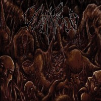 Purchase Vulnificus - Inclination