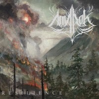 Purchase Amarok - Resilience