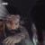 Buy Ransom - The Price Of Clarity (Deluxe Edition) Mp3 Download