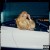 Buy Bia - We On Go Pack (MCD) Mp3 Download