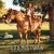 Buy Shania Twain - Little Miss Twain - The Places I'll Go Mp3 Download